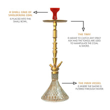 Load image into Gallery viewer, COCOYAYA King Series Dario Hookah Golden (With Bag)