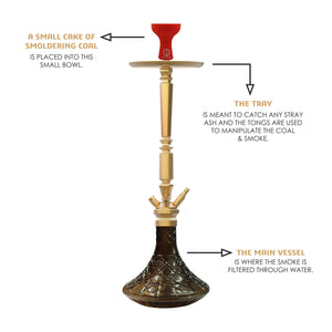 COCOYAYA King Series Rafeo Hookah Champagne ( Dark Grey Base )