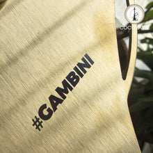 Load image into Gallery viewer, COCOYAYA Gambini Hookah Golden (Peach Base) With Bag
