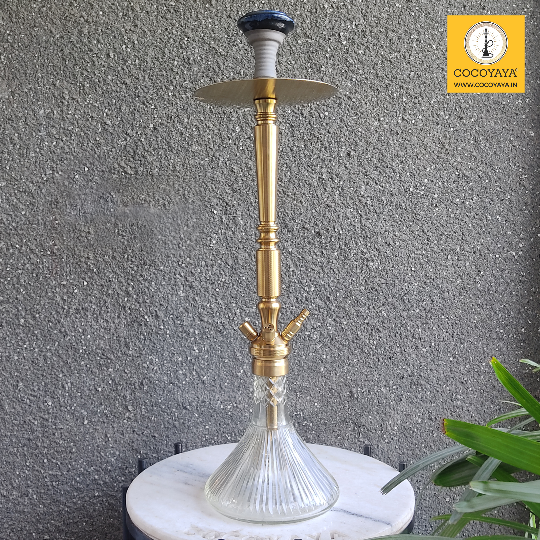 COCOYAYA King Series Rafeo Hookah Golden ( Transparent Base ) With